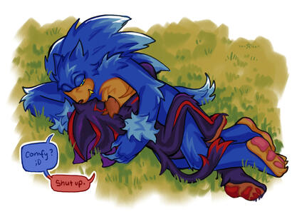 Sonadow cuddles
